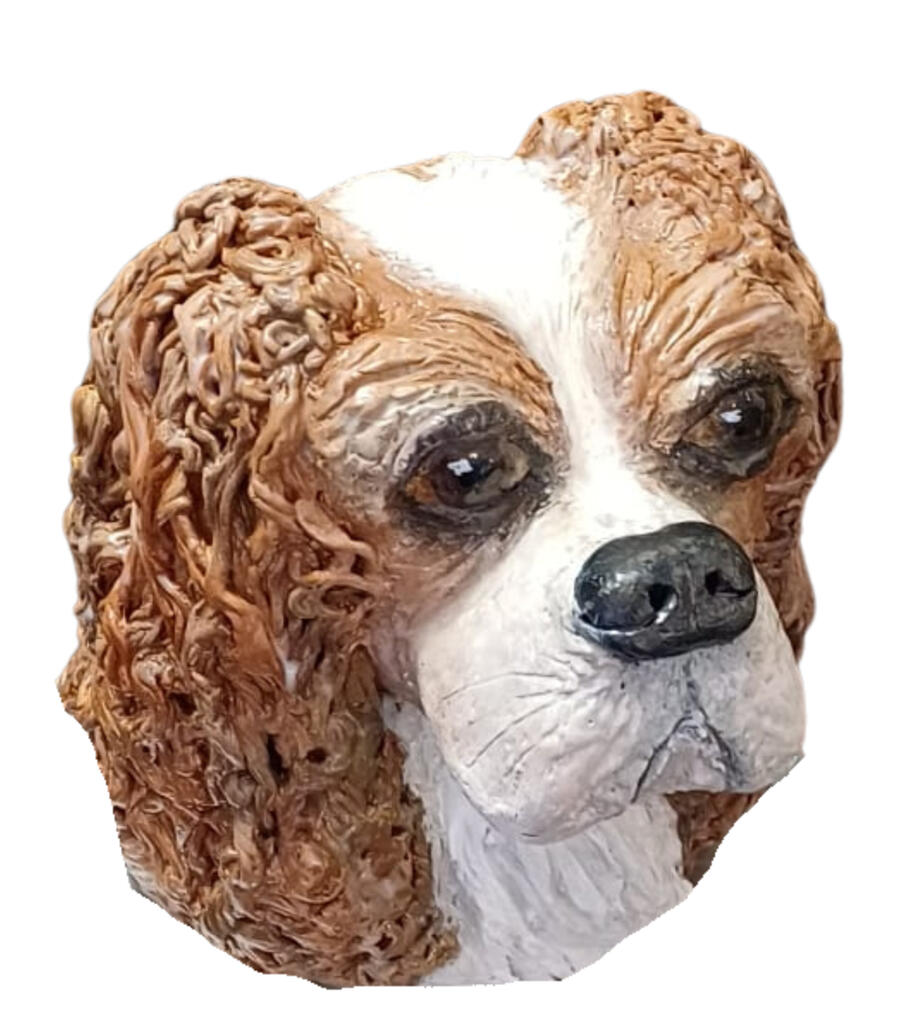 Bailey