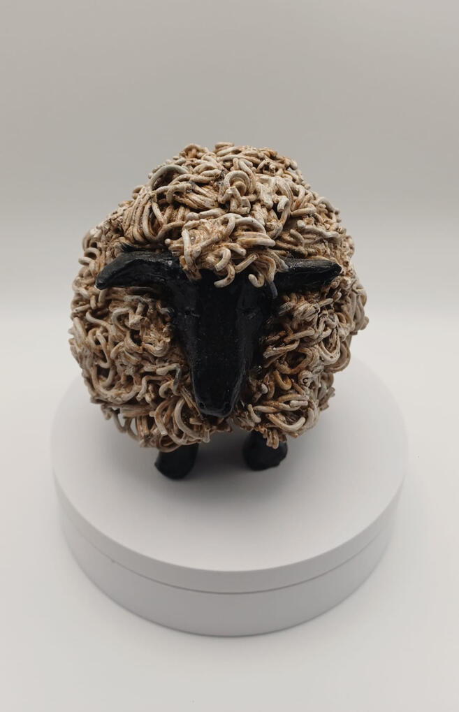 Shy Sheep